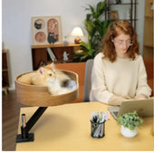 Desktop Cat Nest with Rotating Bracket